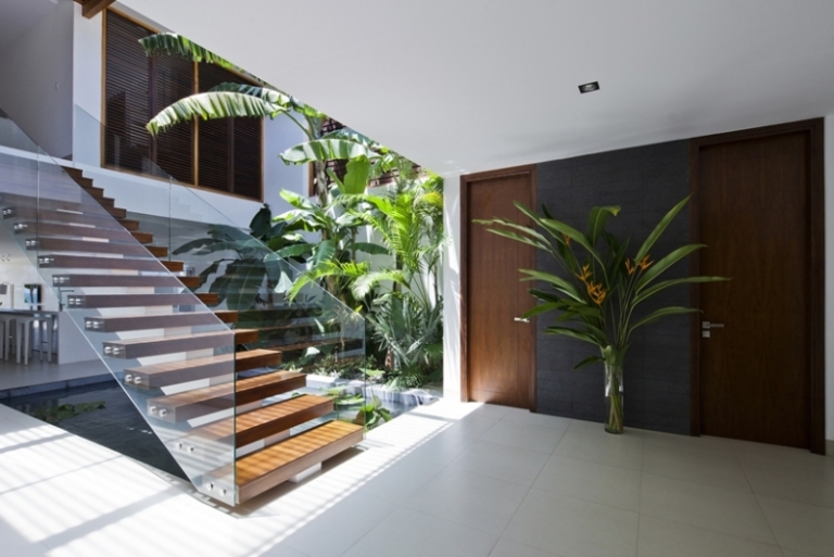 escalier droit marches bois-garde-corps-verre-intérieur-palmiers