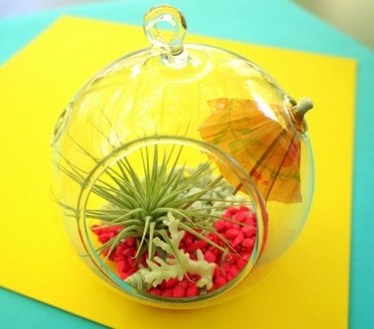 fabriquer-un-terrarium-cocktail-parapluie-gravier-decoratif