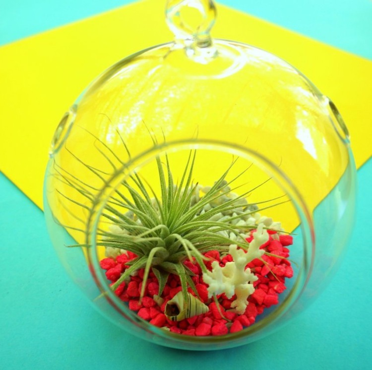 fabriquer-un-terrarium-gravier-decoratif-rouge-coquillage-bocal