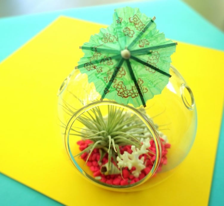 fabriquer-un-terrarium-plantes-decoratif-gravier-cocktail-parapluie