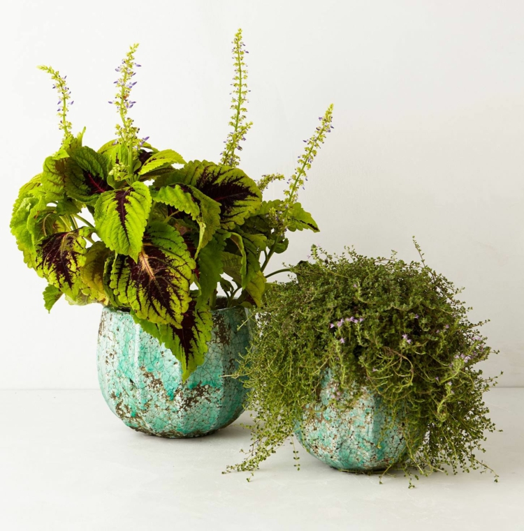 idee-decoration-detente-pots-fleurs-bleu-effet-marbe-lézardé
