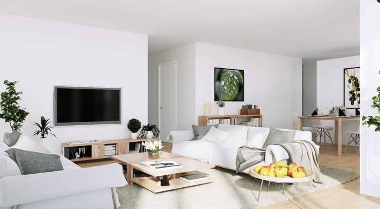 mobilier de salon meuble-salon-blanc-scandinave-canapé-blanc-table-bois-tapis-gris-plantes