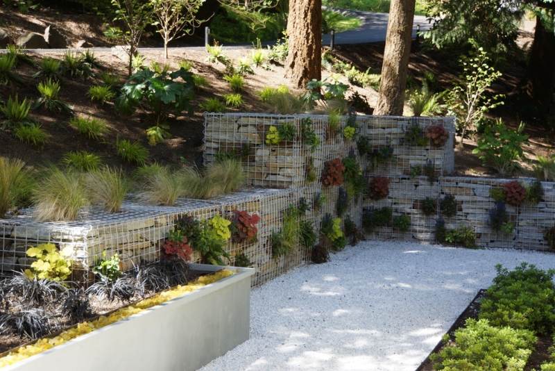 Mur et clôture gabion: idées pour le jardin en 31 photos! Clôture Lame idées