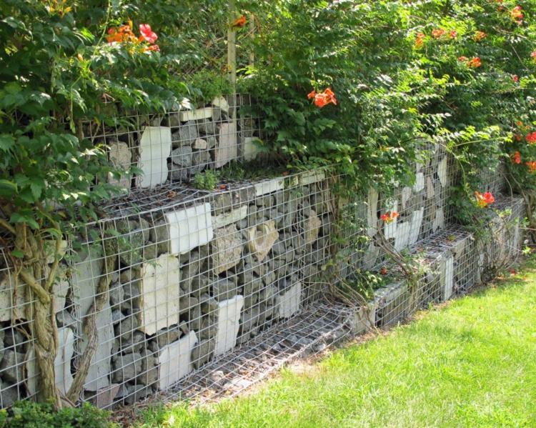 mur-gabion-tecoma-orange-gabion-pierre-béton-concassé mur gabion