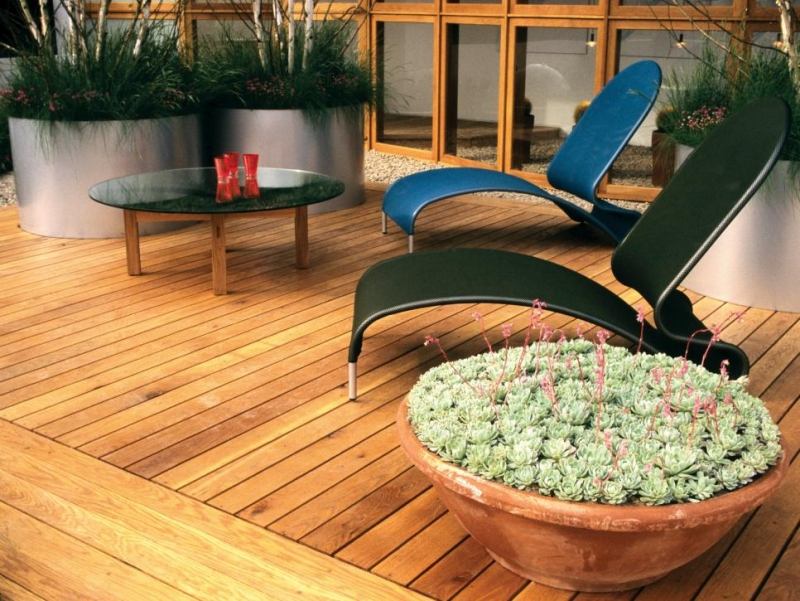 terrasse-exterieur-revetement-sol-bois-chaise-longues-plantes-succulentes