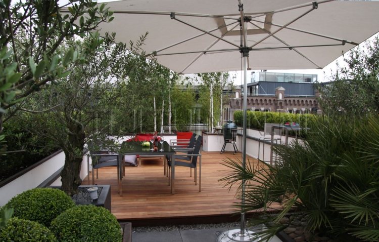 amenagement-jardin-terrasse-bois-parasol-végétation-olivier-palmiers aménagement de jardin et terrasse