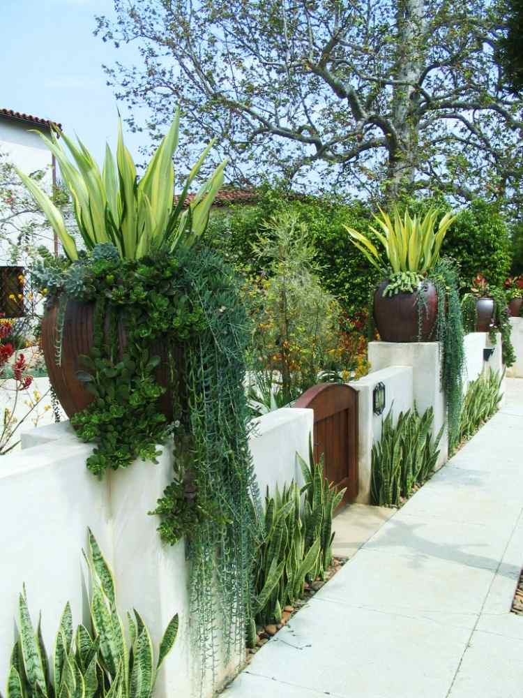 aménagement-jardin-méditerranéen-agave-plantes-retombantes-succulentes-sansevieria