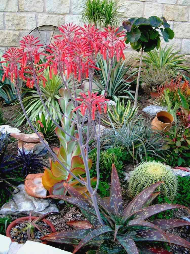 aménagement-jardin-méditerranéen-aloè-agave-cactus-yucca-pierre-naturelle