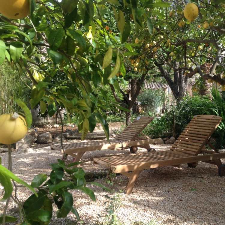 aménagement-jardin-méditerranéen-citronnier-chaises-longues-bois-gravier-concassé