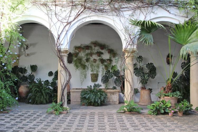 aménagement-jardin-méditerranéen-colonnes-plantes-grimpantes-palmies