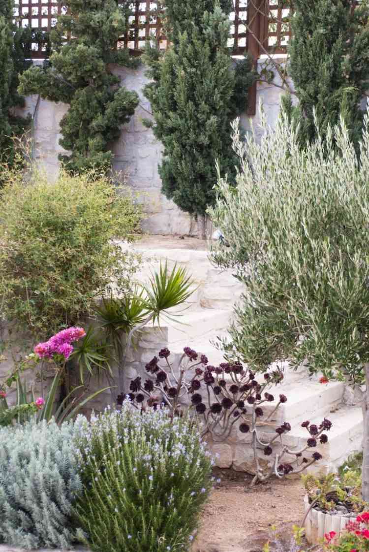 aménagement-jardin-méditerranéen-cyprès-herbes-aromatiques-arbustes3