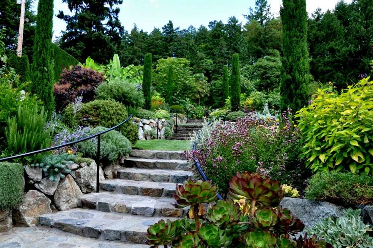 aménagement-jardin-méditerranéen-cyprès-succulentes-escalier-jardin-pierre