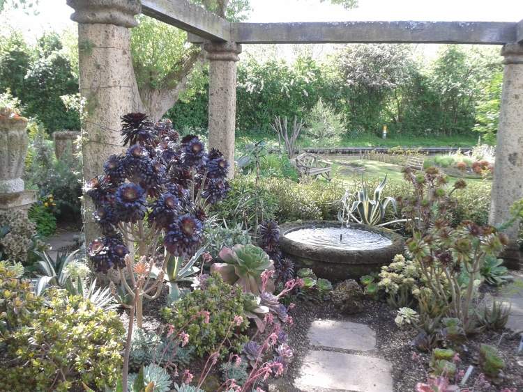 aménagement-jardin-méditerranéen-fontaine-pierre-plantes-succulentes