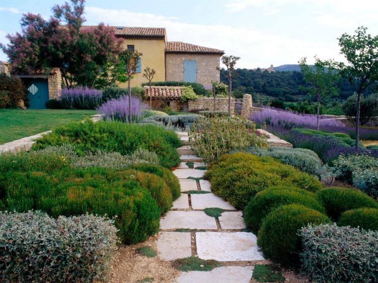 aménagement-jardin-méditerranéen-lavande-buis-boule-lilas-jeunes-arbres aménagement jardin méditerranéen