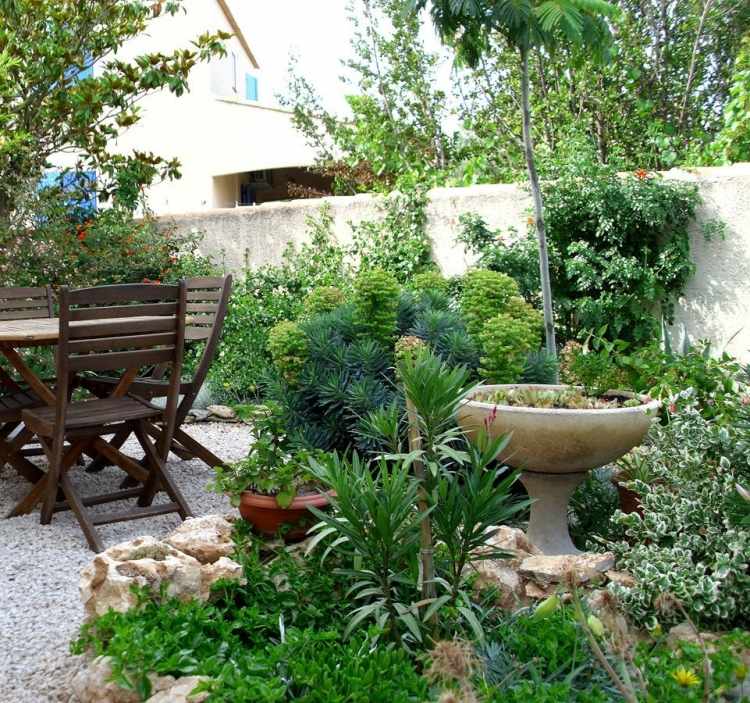 aménagement-jardin-méditerranéen-plantes-vertes-jeunes-arbres-fontaine-terrarium