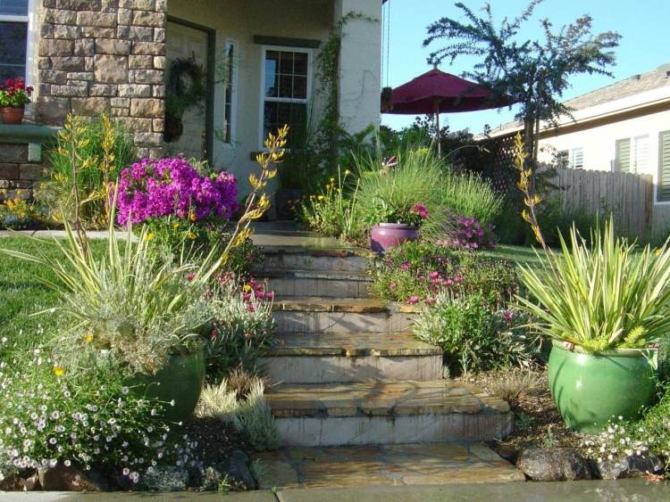 aménagement-jardin-méditerranéen-porte-entrée-escalier-fleurs-plantes-vertes-pots