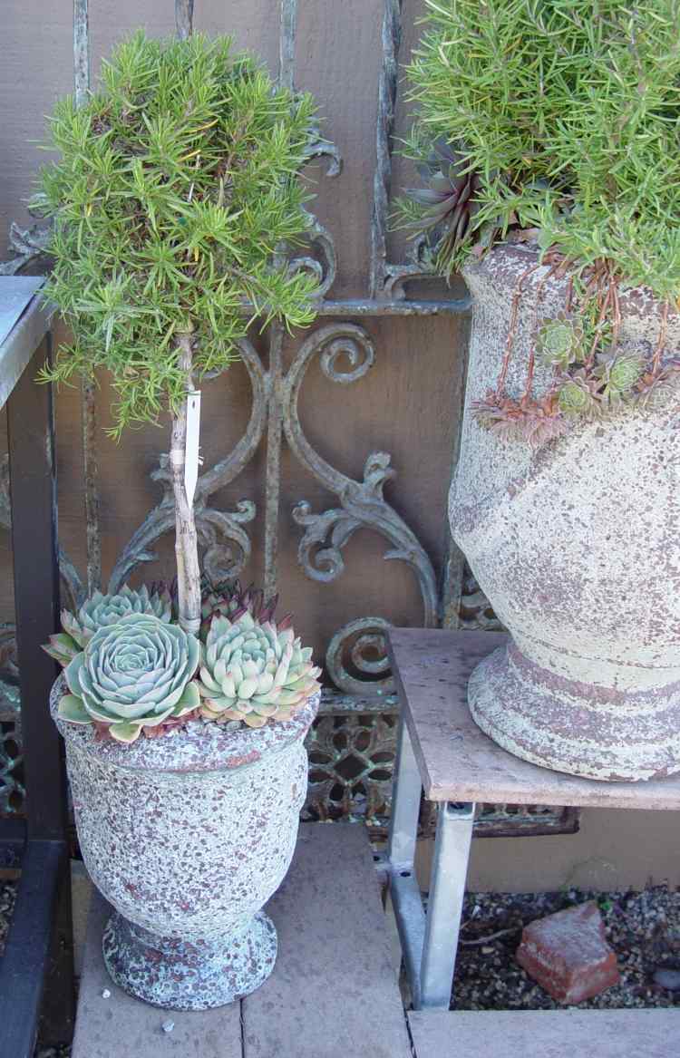 aménagement-jardin-méditerranéen-romarin-pots-pierre-succulentes