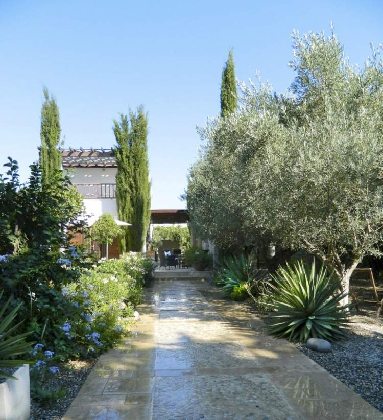 aménagement-jardin-méditerranéen-yucca-oliviers-cyprès-allée-arbustes