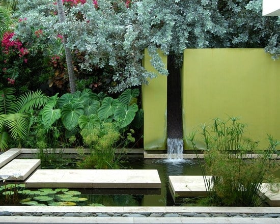 bassin-jardin-plantes-aquatiques-cascade-moderne