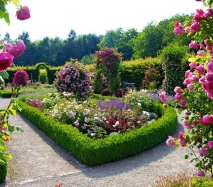 conception-jardin-buis-rosiers-parterre-allée-cailloux