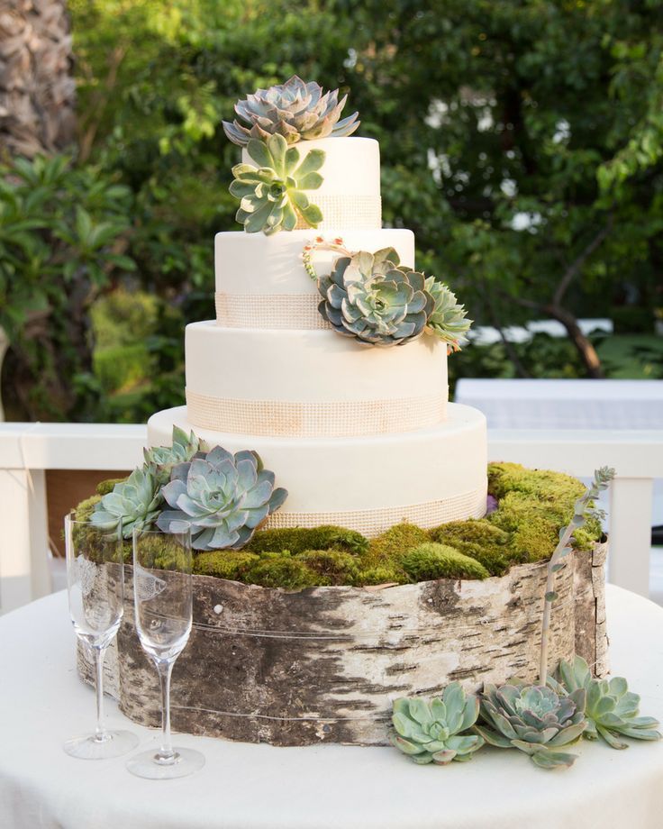 deco-mariage-champetre-gâteau-blanc-déco-fine-succulentes-mousse