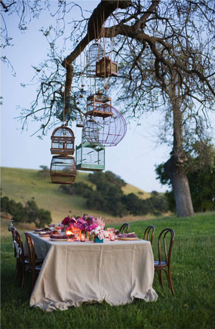 deco-mariage-champetre-table-jardin-déco-florale-cages-oiseaux-suspendues