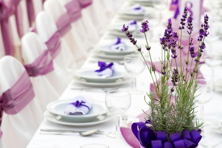 Lavande officinale- 55 décorations de table mariage réussies