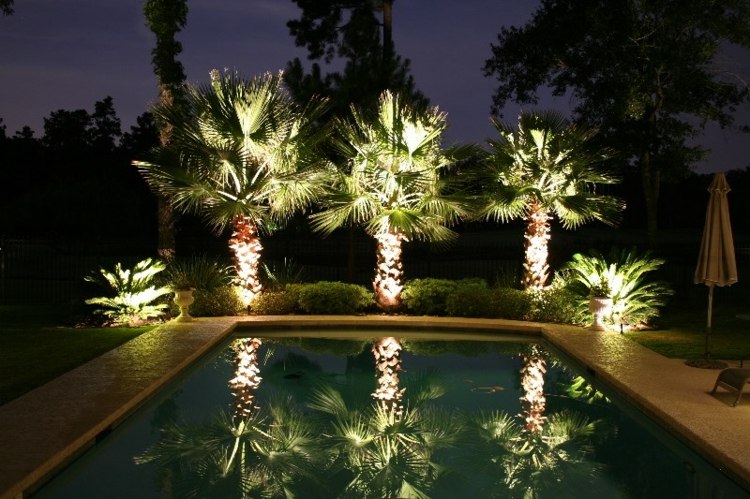 eclairage-de-jardin-palmiers-piscine-encastree-amenagement-exterieur