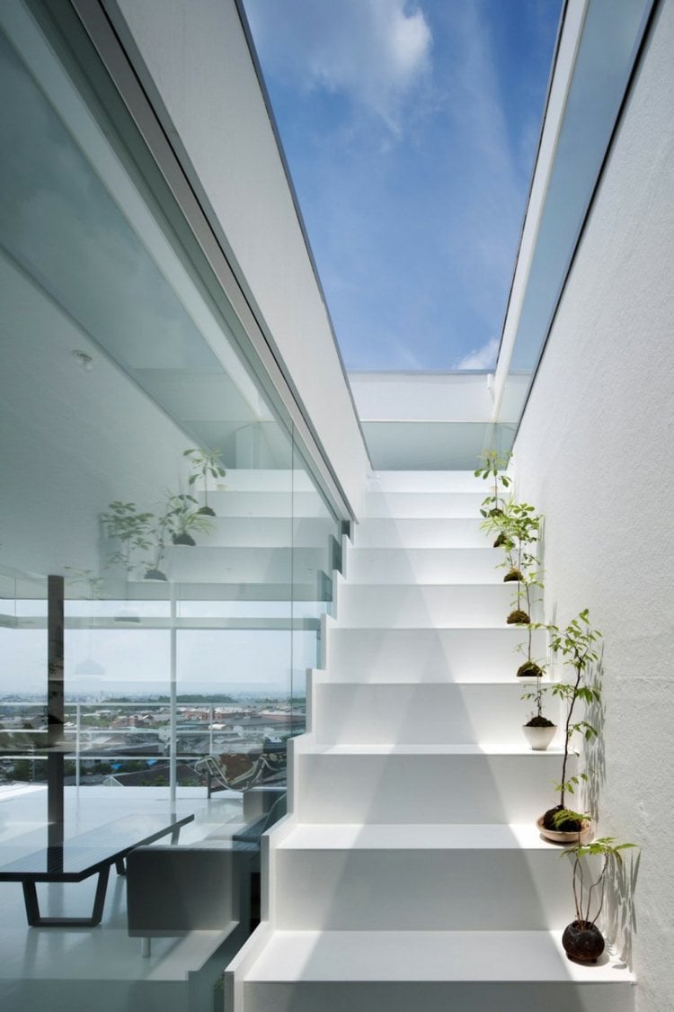 escalier-design-minimaliste-droit-blanc-garde-corps-verre-jeunes-arbres-déco