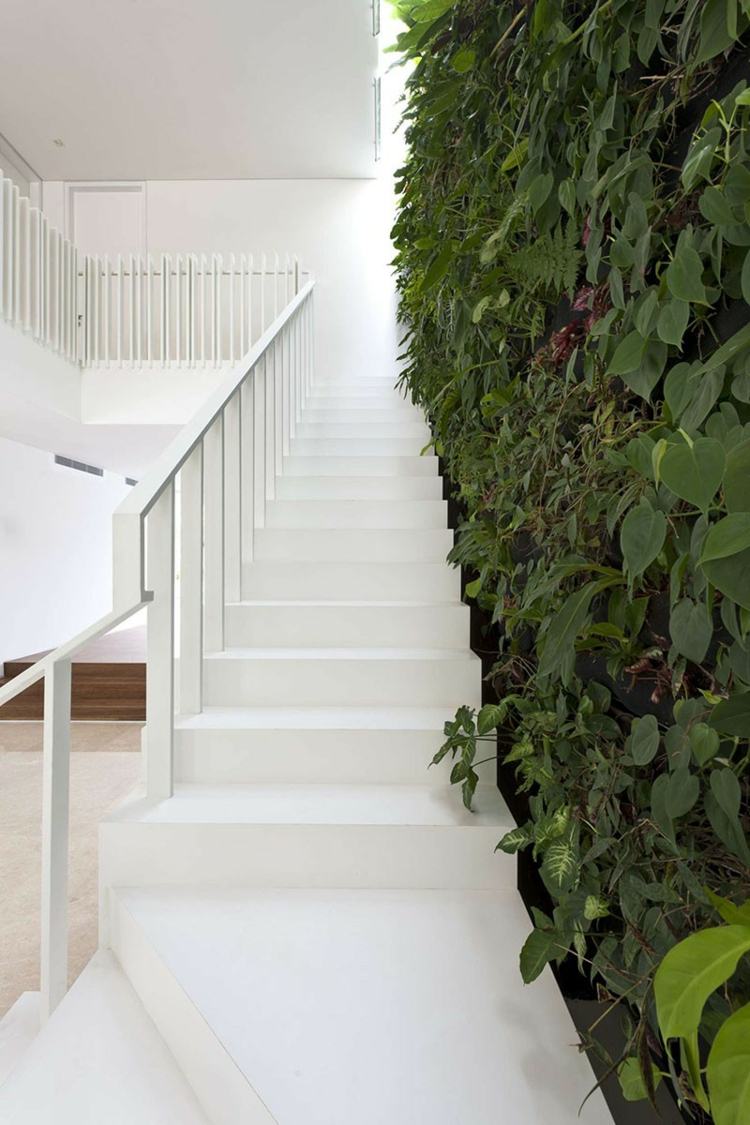 escalier-design-minimaliste-droit-blanc-rampe-bois-classique-mur-végétaisé