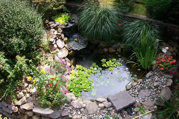 galet-décoratif-bassin-plantes-vertes-fleurs-jardin-moderne