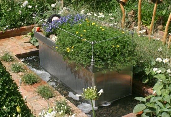 idée-bassin-jardin-plantes-aquatiques-réaliser-soi-même