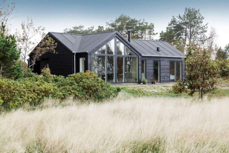 interieur-bois-moderne-extérieur-élégant-bois-noir-Trend-Summer-House