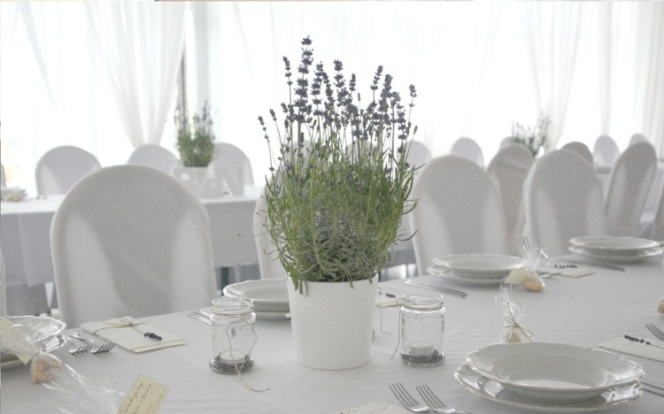 Lavande officinale- 55 décorations de table mariage réussies