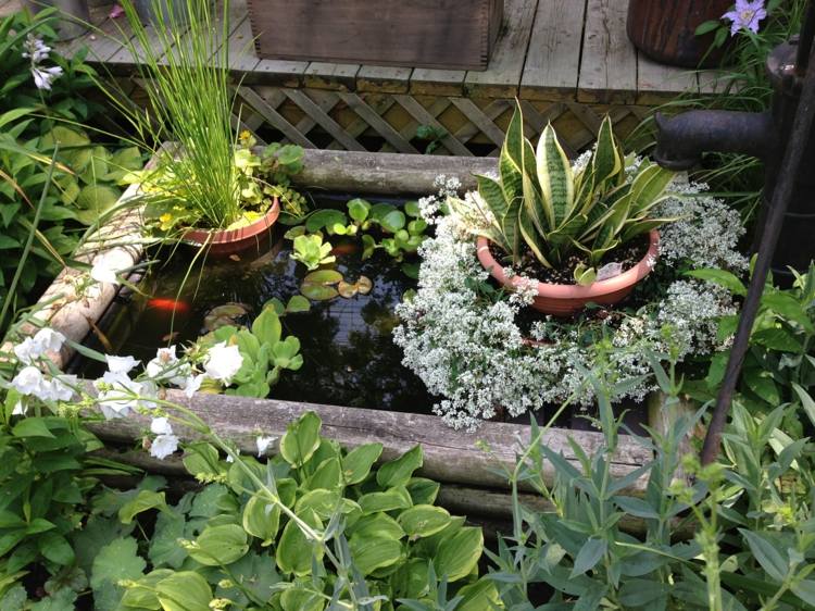 mini-bassin-balcon-bois-plantes-deco