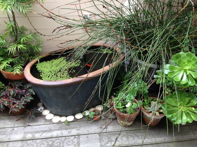 mini-bassin-balcon-sol-bois-plantes-idee-deco-exterieur