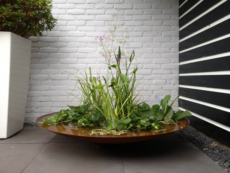 mini bassin -conteneur-acier-corten-plantes-aquatiques
