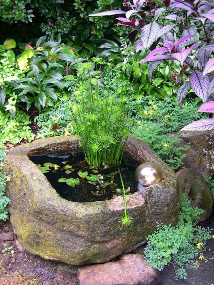 mini bassin -conteneur-pierre-naturelle-plantes-aquatiques