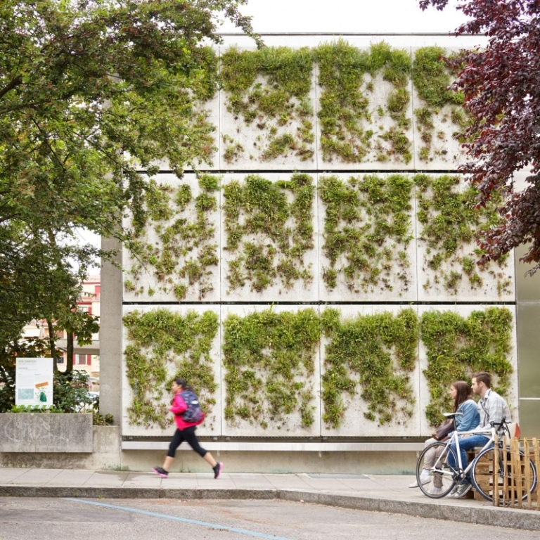 mur végétal extérieur skyflor-facade