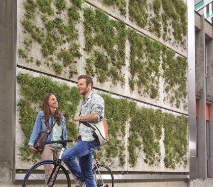 mur-vegetal-exterieur-skyflor-system-rue