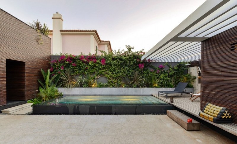 piscine-exterieur-hors-sol-clôture-béton-plantes-grimpantes-façade-maison-lattes