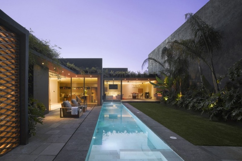 piscine-exterieur-étroite-longue-terrasse-gazon-plantes-vertes piscine extérieur