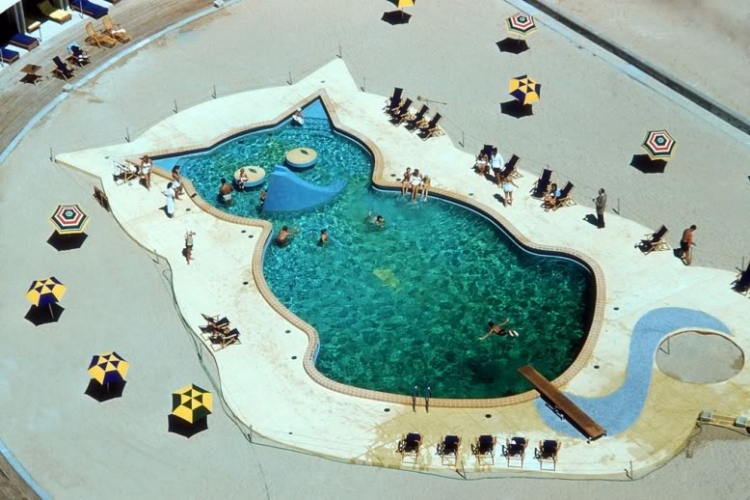 piscine-extérieur-forme-chat-enjiliver-jardin