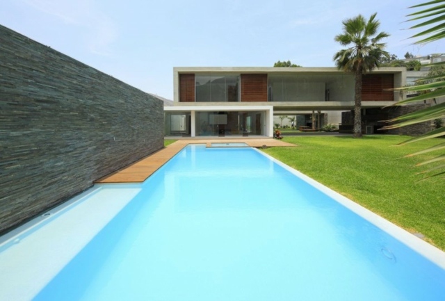 piscine-jardin-enterrée-design-moderne-gazon-palmiers-clôture-pierre
