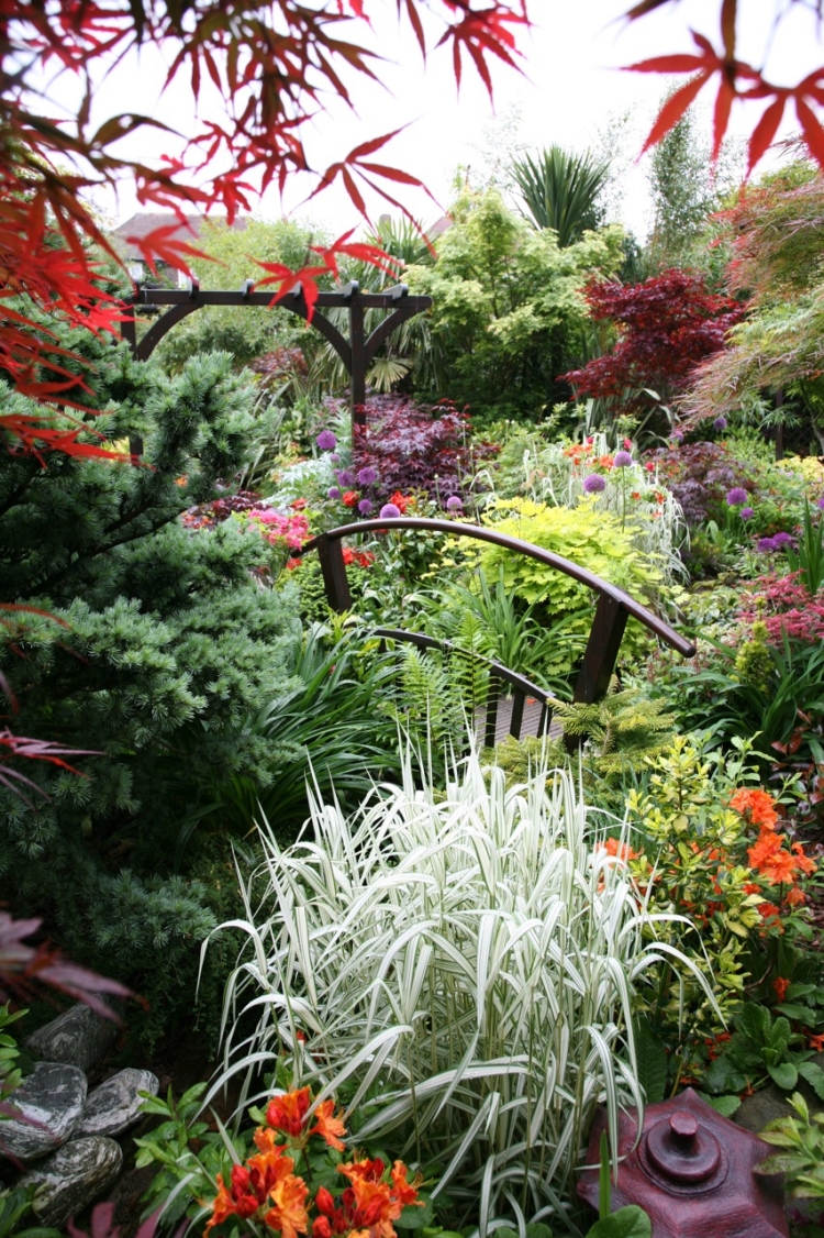 pont-de-jardin-amenagement-plantes-erable-japonais