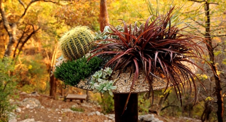 pots-de-fleurs-graviers-decoratif-plantes-succulentes-cactus-palmier