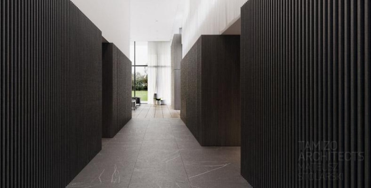 3architecture-interieure-moderne-panneaux-muraux-bois-noir-lodz-tamizo