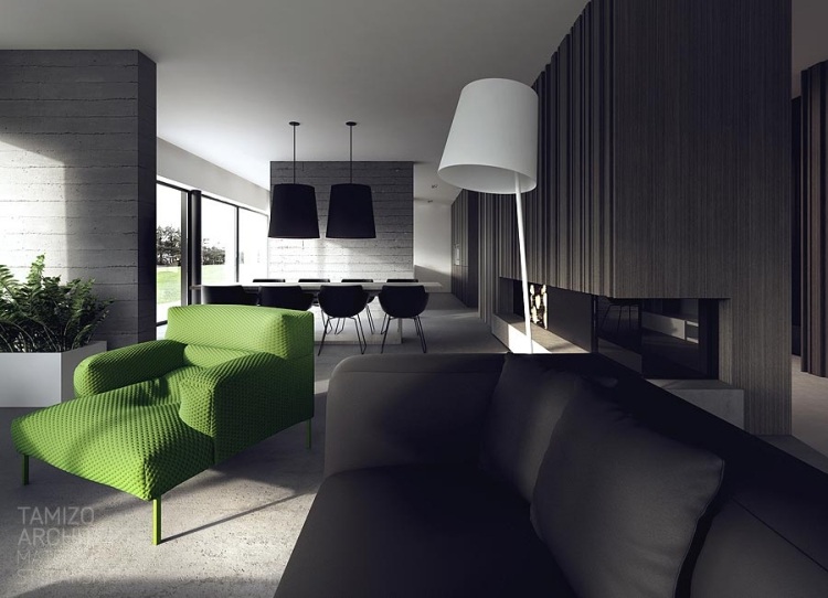 7architecture-interieure-moderne-canapé-rembourré-gris-futeuil-vert-lampe-blanche-cheminée-torun-tamizo architecture intérieure