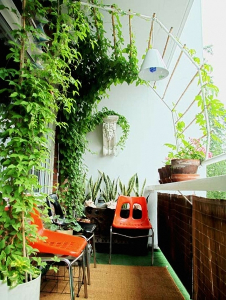 amenagement-balcon-plantes-grimpantes-chaises-plastique-orange-langue-belle-mère aménagement balcon
