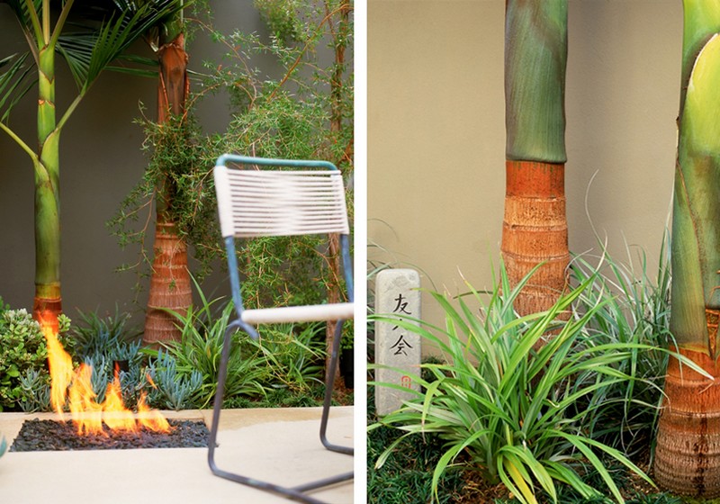 amenagement-petit-jardin-feu-extérieur-palmiers-chaise-métal aménagement petit jardin